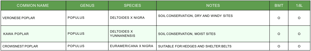 Plant Hawkes Bay poplars plant list