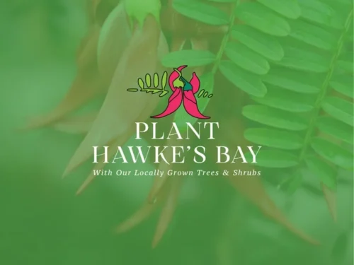 Plant hawkes bay product default