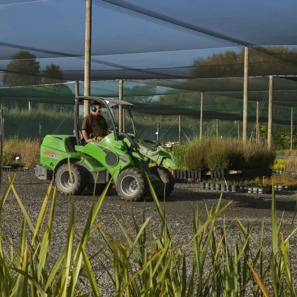 Man driving a forklift carrying native plants in the Plant Hawke's Bay nursery