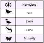 Plant list key