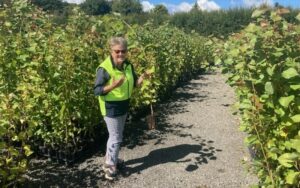 Marie Taylor Founder of Plant Hawke's Bay standing in a row of young Popular trees in the nursery