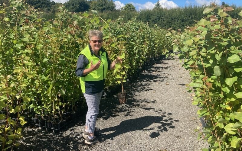 Marie Taylor Founder of Plant Hawke's Bay standing in a row of young Popular trees in the nursery